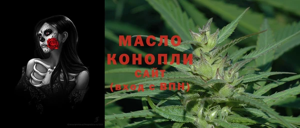 сатива Беломорск