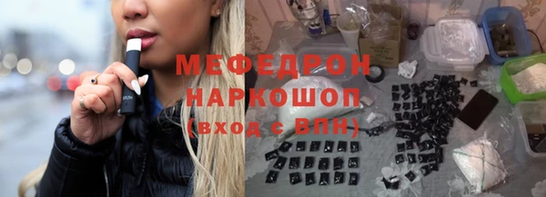 сатива Беломорск