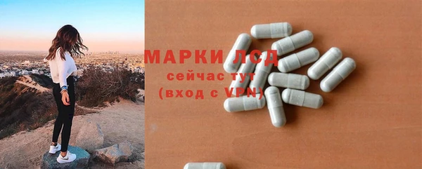 сатива Беломорск