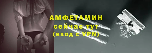 сатива Беломорск