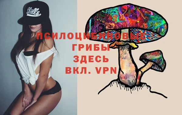 альфа пвп Белокуриха