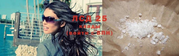 сатива Беломорск